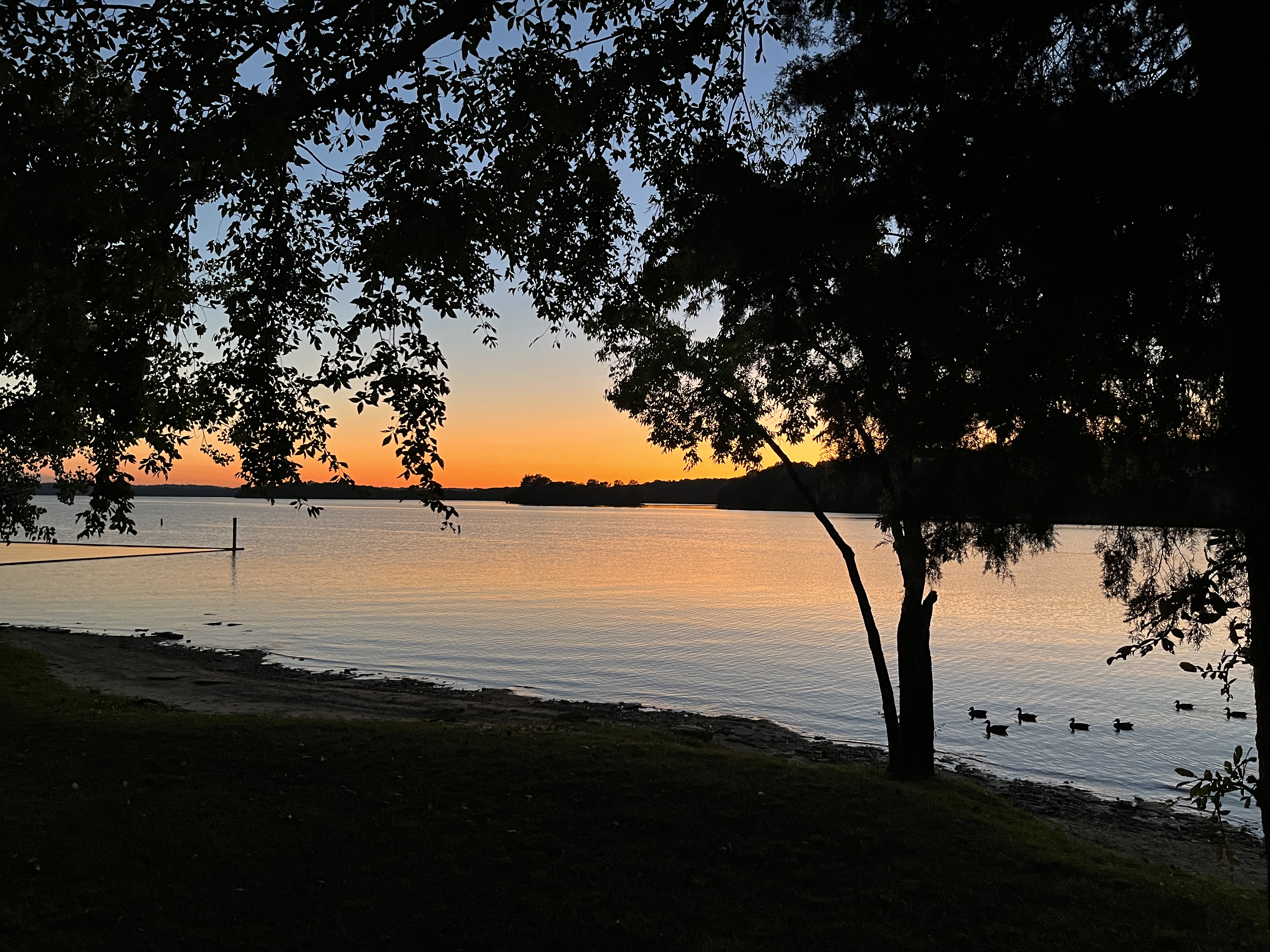 Peaceful sunset over a Tennessee lake with ducks on the water